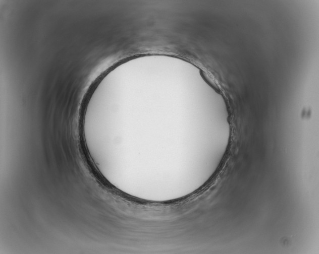 X0000094430008200711291543