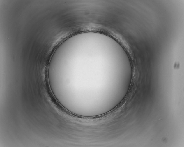 X0000094430010200711291543