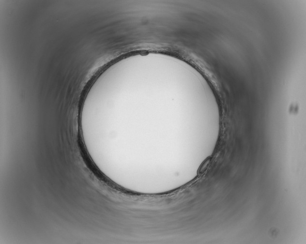 X0000094430011200711291543