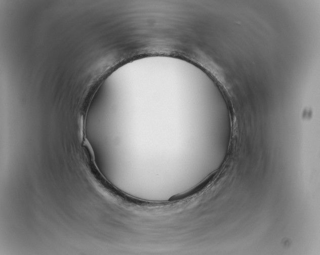 X0000094430013200711291543