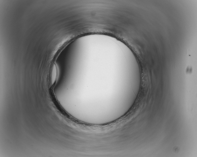 X0000094430015200711291543