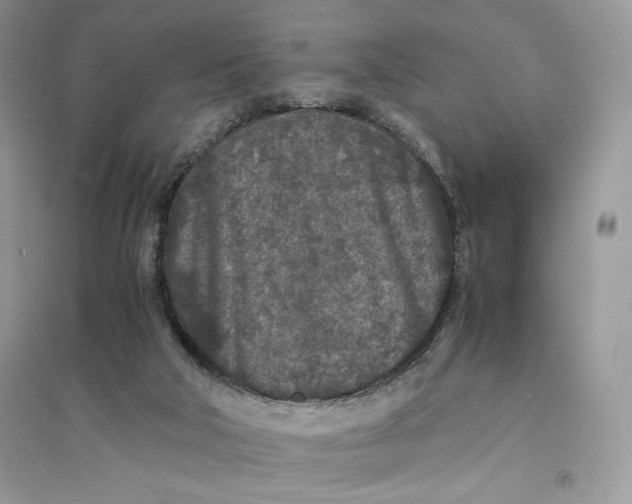 X0000094430018200711291543