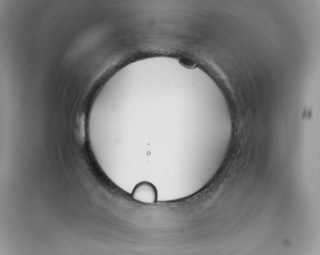 X0000094430020200711291543