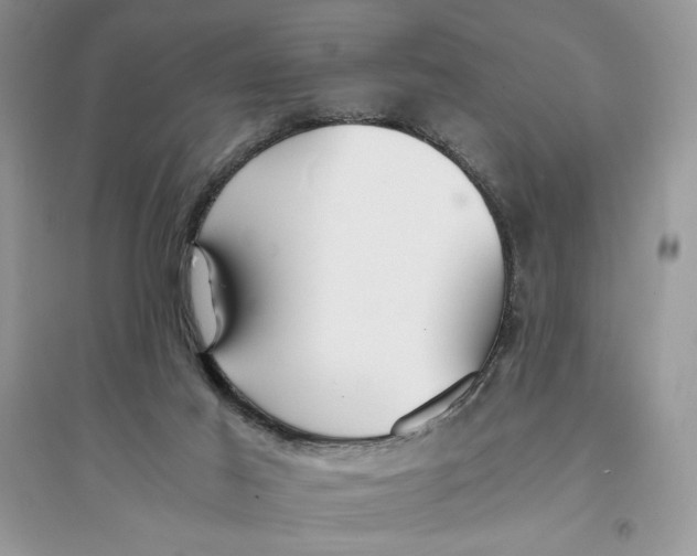 X0000094430021200711291543