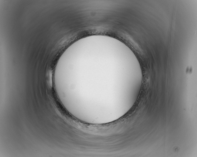 X0000094430022200711291543