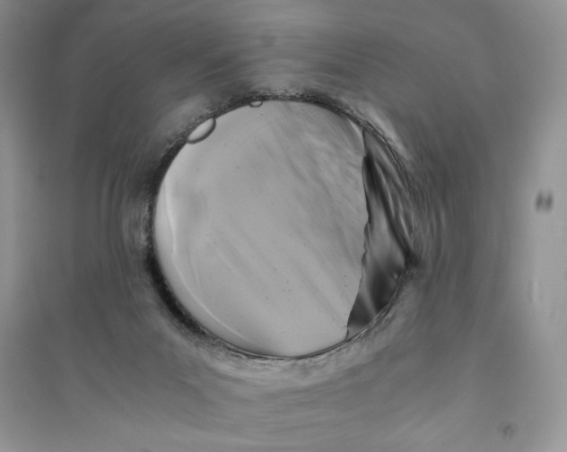 X0000094430023200711291543