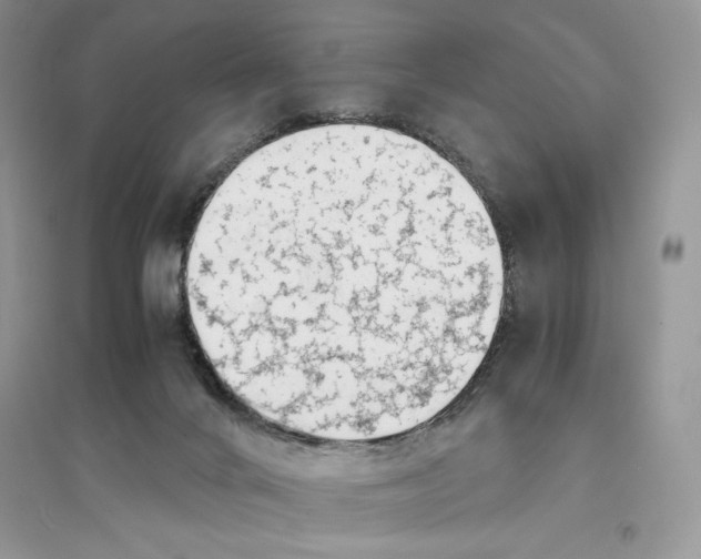 X0000094430024200711291543