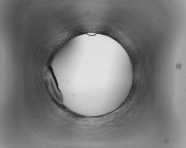 X0000094430025200711291543