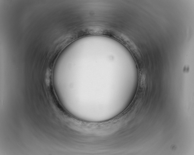 X0000094430026200711291543