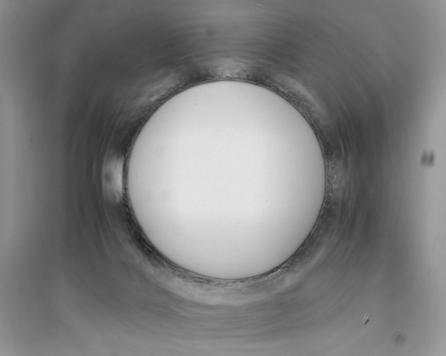 X0000094430028200711291543