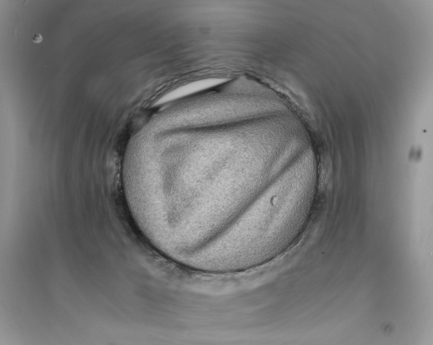 X0000094430029200711291543