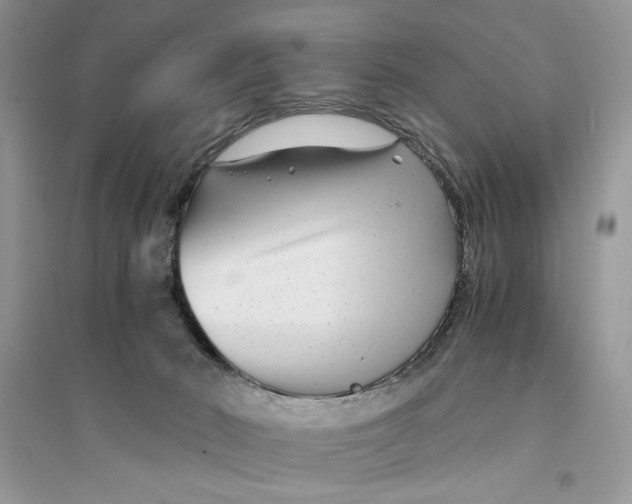 X0000094430030200711291543