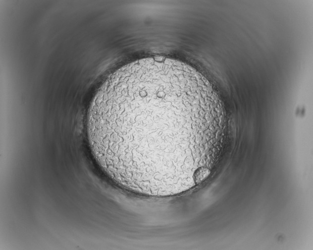 X0000094430032200711291543