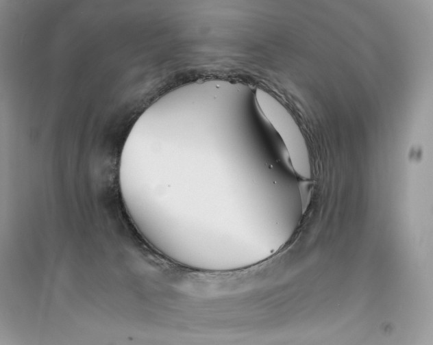 X0000094430033200711291543