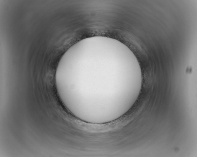 X0000094430034200711291543