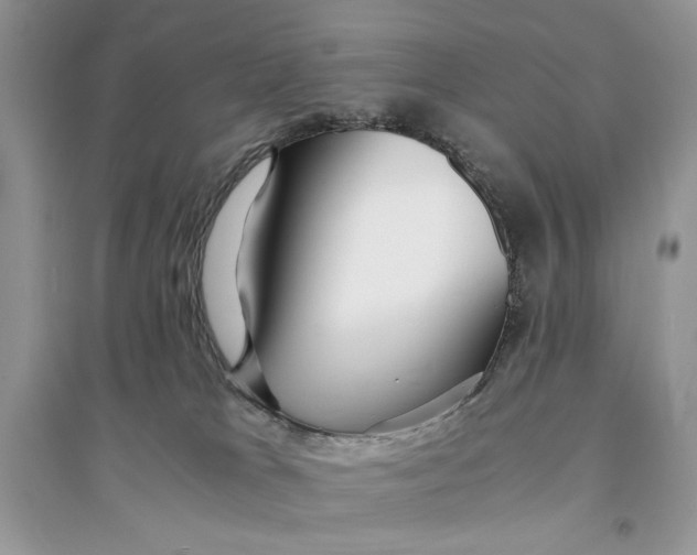 X0000094430037200711291543