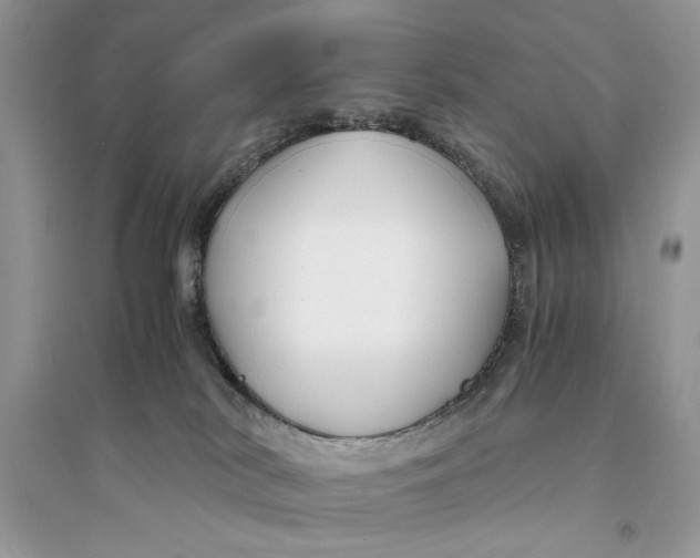 X0000094430038200711291543