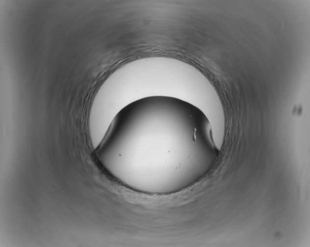 X0000094430039200711291543