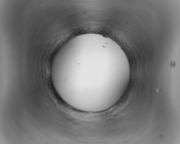 X0000094430040200711291543