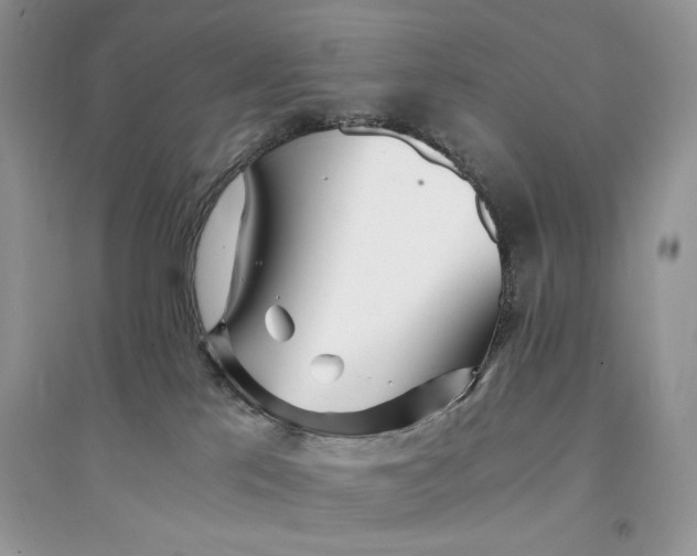 X0000094430041200711291543