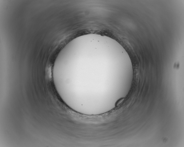 X0000094430042200711291543