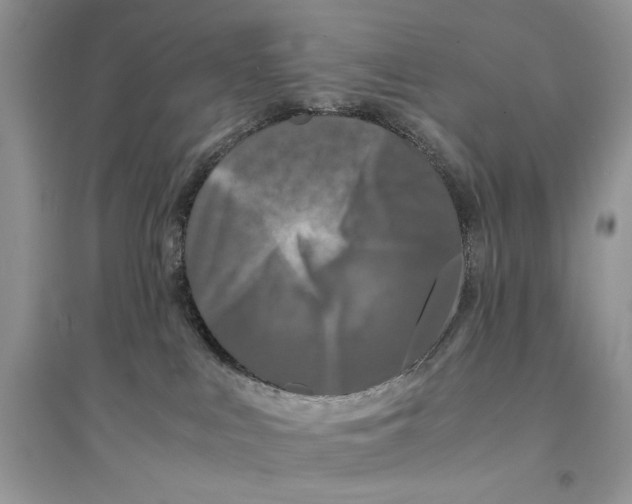 X0000094430043200711291543