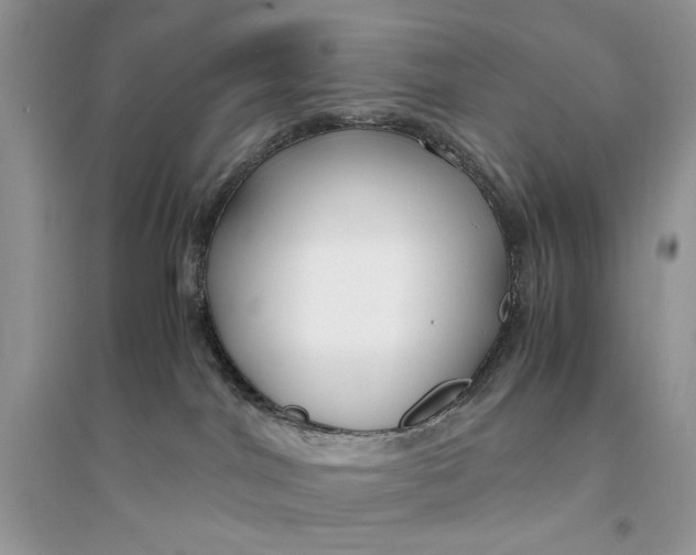 X0000094430044200711291543