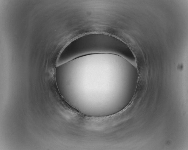 X0000094430045200711291543