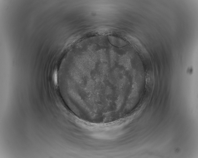 X0000094430046200711291543