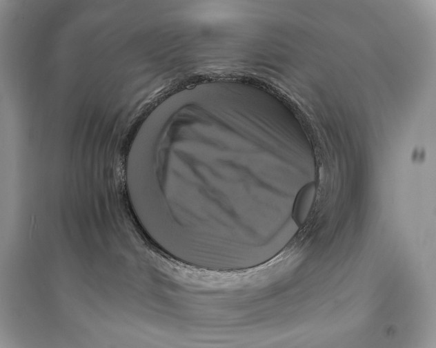 X0000094430048200711291543