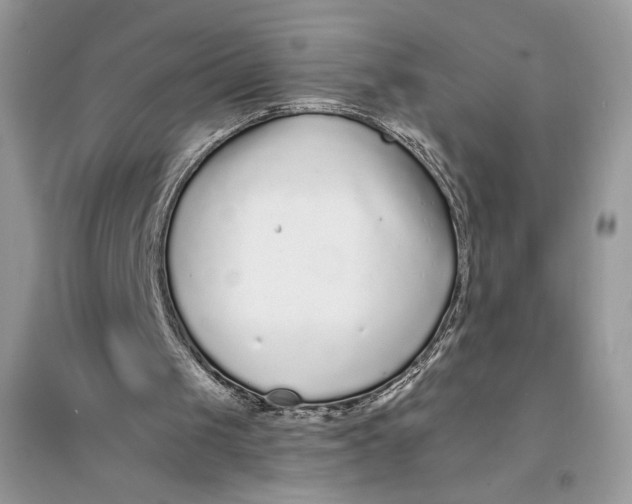 X0000094430049200711291542