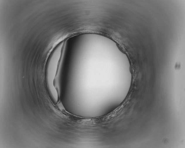 X0000094430050200711291542