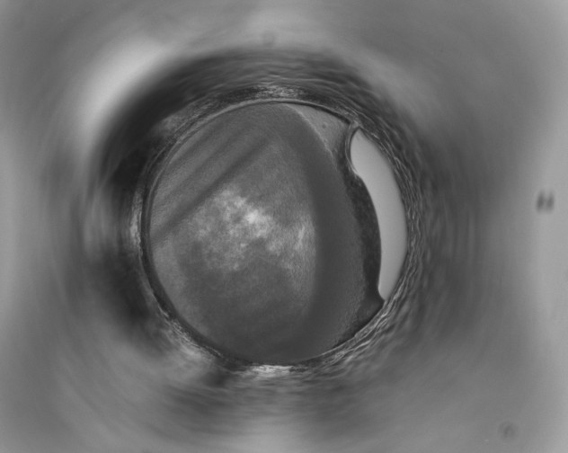 X0000094430052200711291542