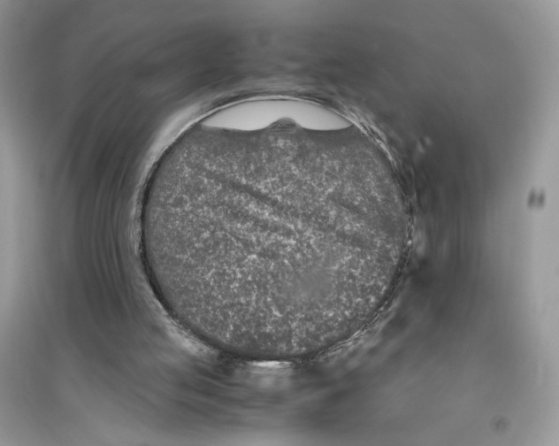 X0000094430053200711291542