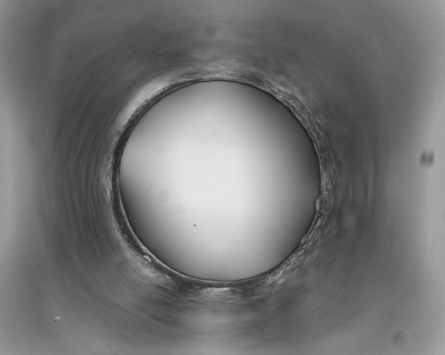 X0000094430054200711291542