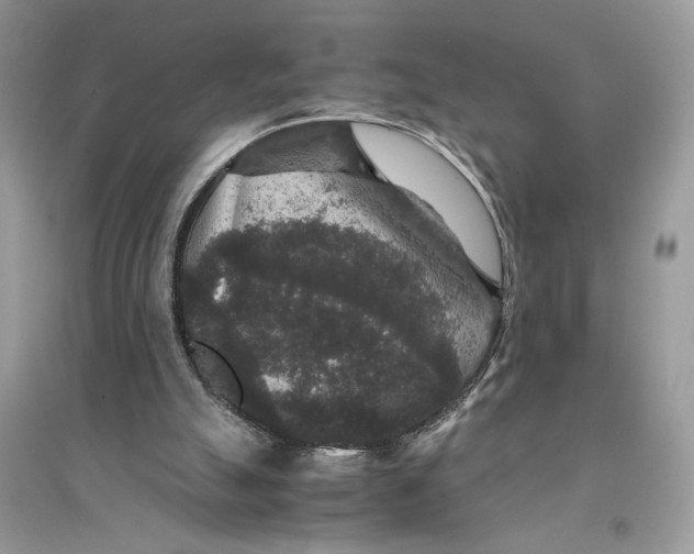 X0000094430055200711291542