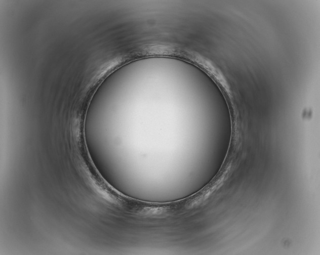 X0000094430057200711291542