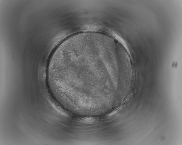 X0000094430059200711291542