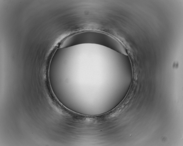 X0000094430060200711291542