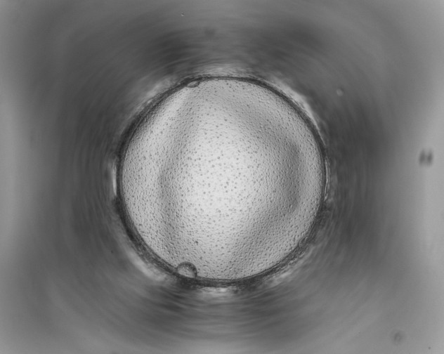 X0000094430061200711291542