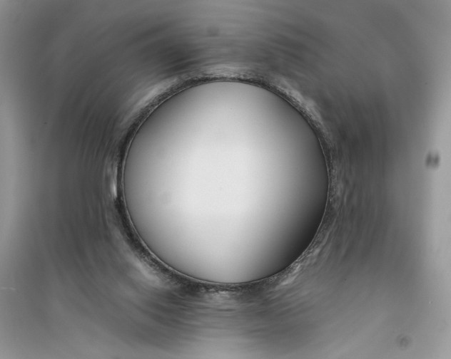 X0000094430062200711291542