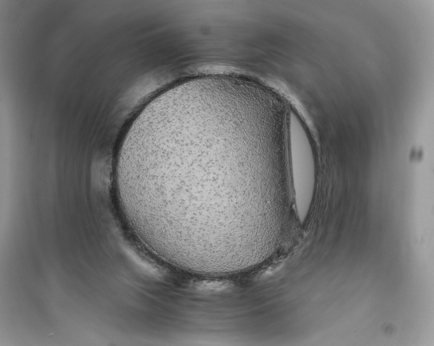 X0000094430063200711291542