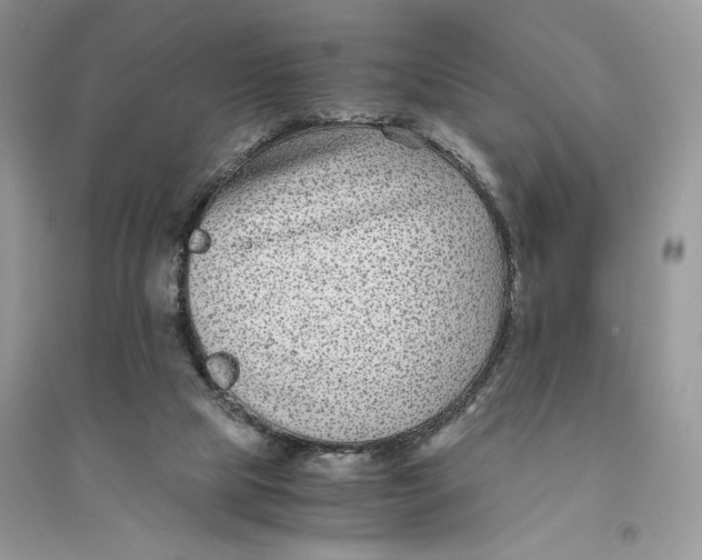 X0000094430065200711291542