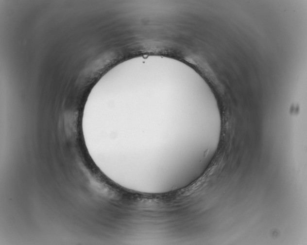 X0000094430066200711291542