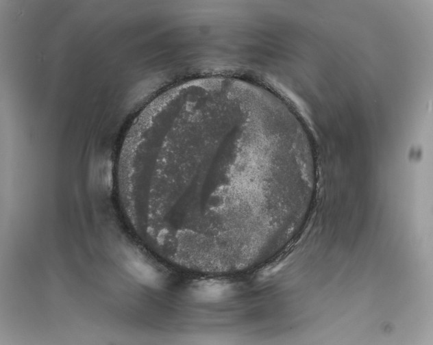 X0000094430067200711291542