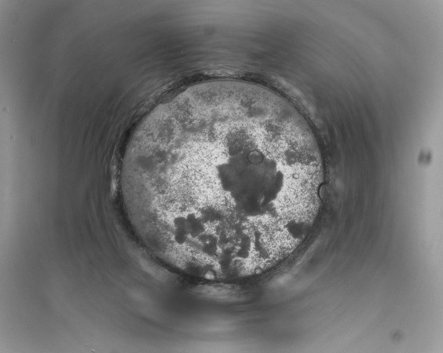 X0000094430069200711291542