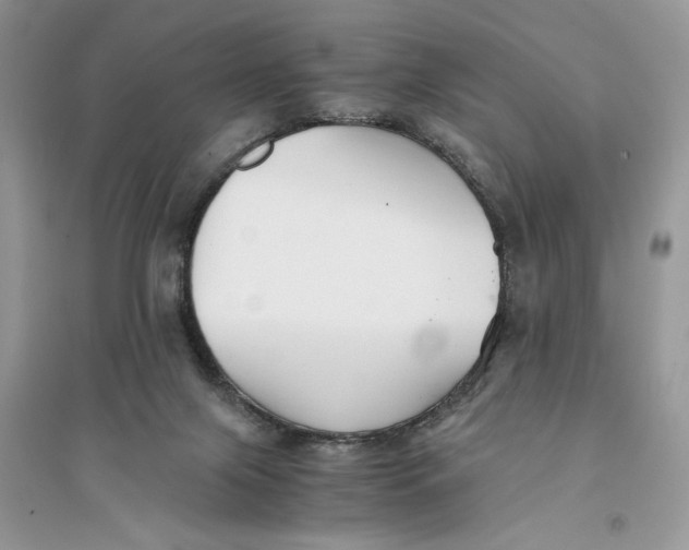 X0000094430071200711291542