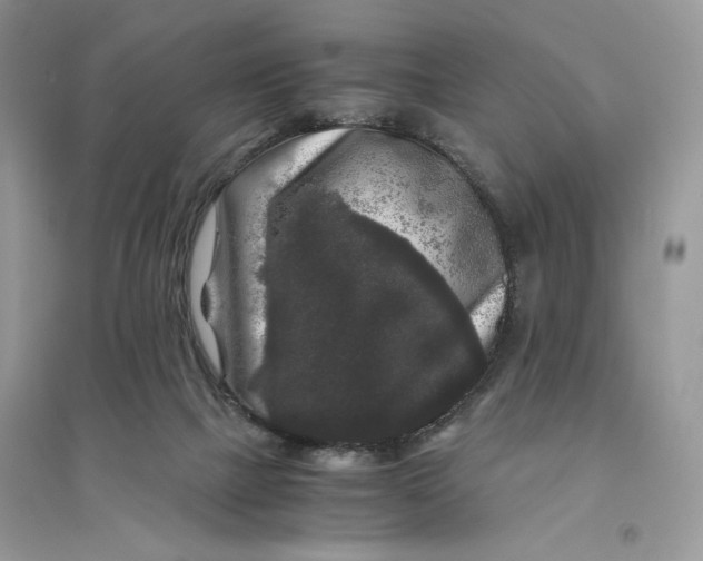 X0000094430073200711291543