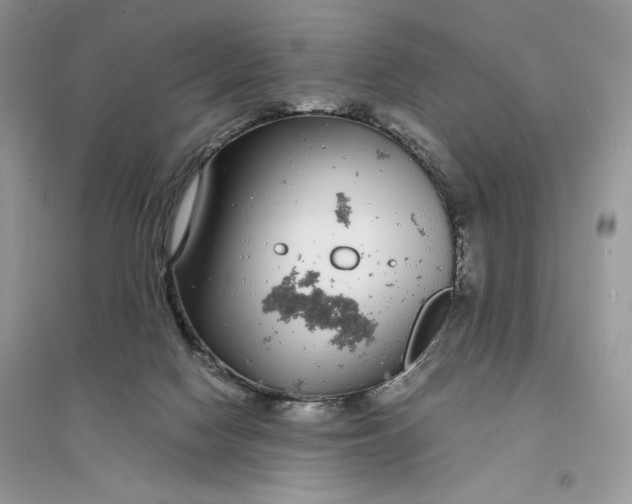 X0000094430074200711291543