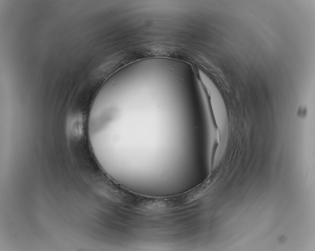 X0000094430075200711291543